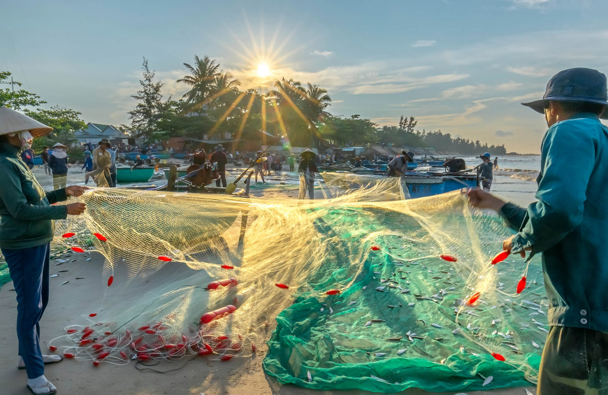 Binh Thuan morning fishing