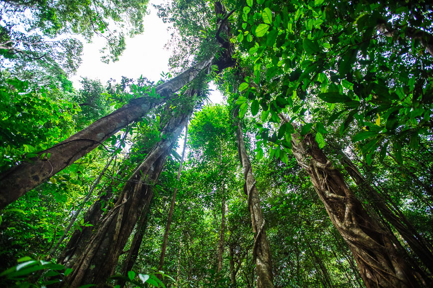 phu quoc national park